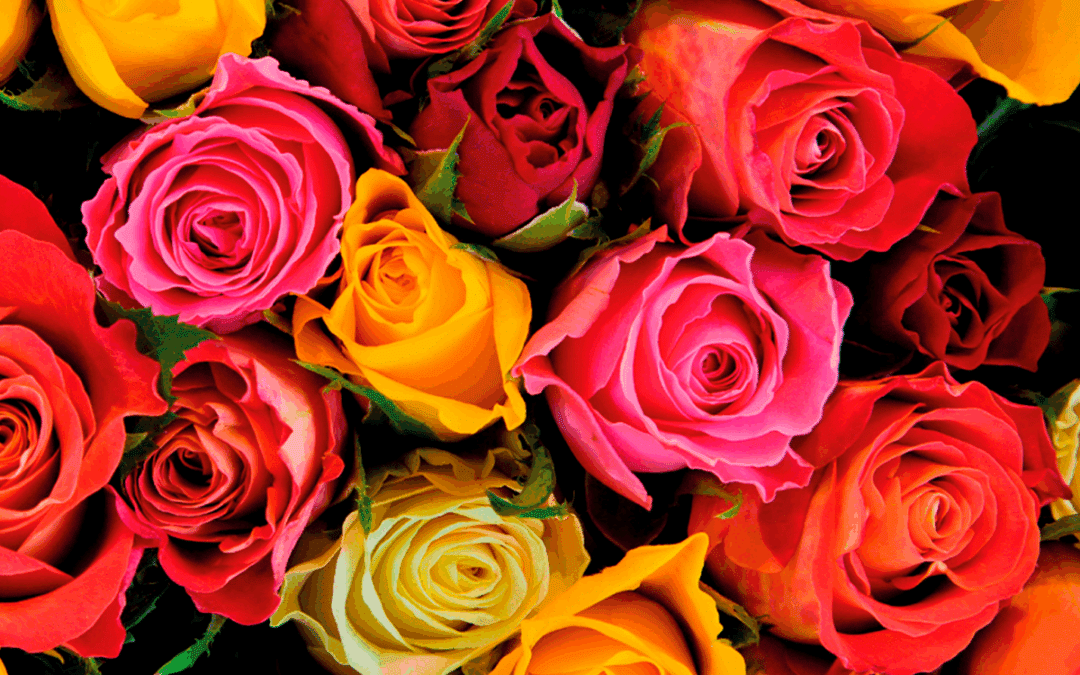 El significado de las flores: Qué decir con cada color y especie